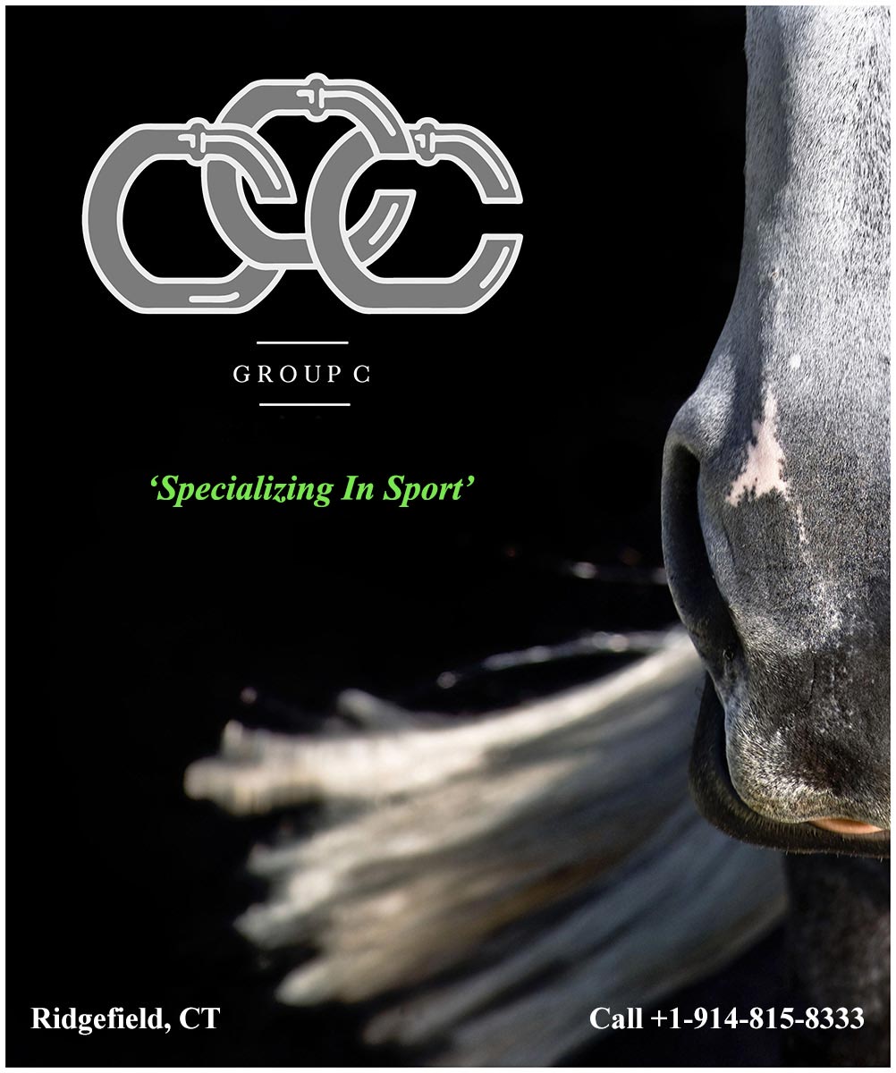 Group C: Specializing in Sport. Ridgefield, CT. Call 1-914-815-8333